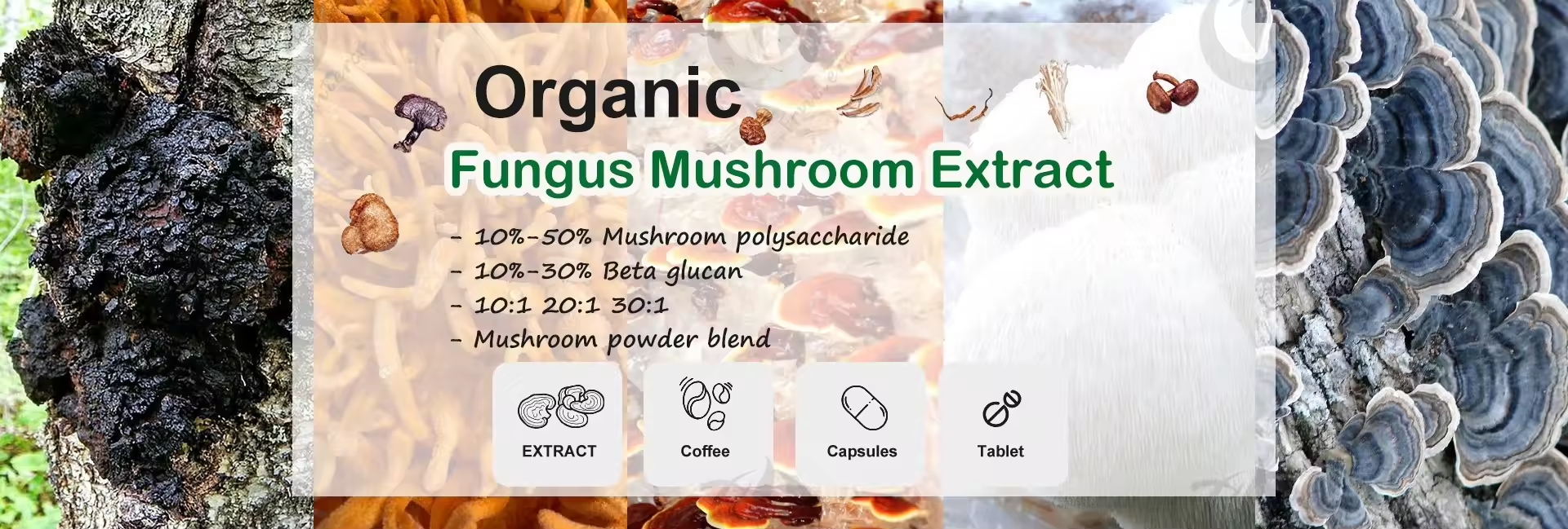 <span hidden>title</span>