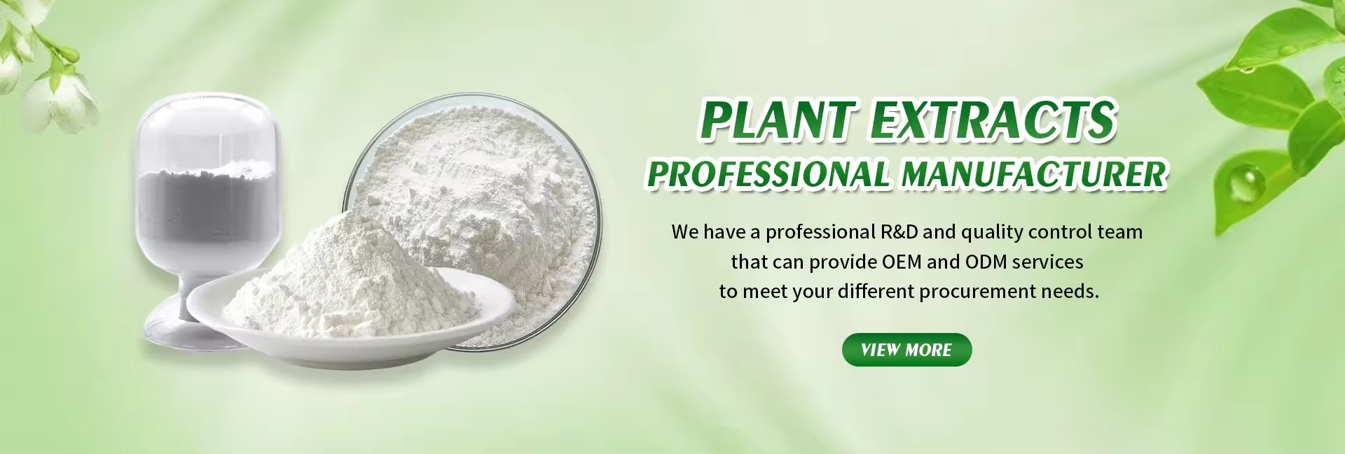 <span hidden>title</span>